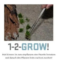 1-2-GROW! Indische Sternpflanze / Pogostemon Deccanensis Von TROPICA -DENNERLE shop 053FTC T 1 7