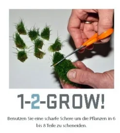 1-2-GROW! Grasartige Zwergschwertpflanze / Helanthium Tenellum 'Green' Von TROPICA -DENNERLE shop 067TC T 1 6