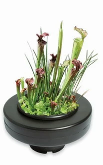 Schwimmende Pflanzschale - Pflanzkorb Ca. ø 23 Cm, Schwarz