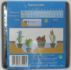 Anzucht-Set Weiße Zwerg-Seerose / Nymphaea Pygmaea Alba (tetragona) Miniseerose -DENNERLE shop GT2010wf 1 3