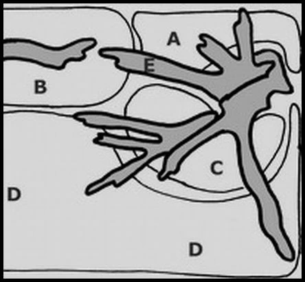 Unterwasser-Landschaft Moosbogen Für 30 Liter Nano Cube 1 Unterwasser-Landschaft Moosbogen Für 30 Liter Nano Cube