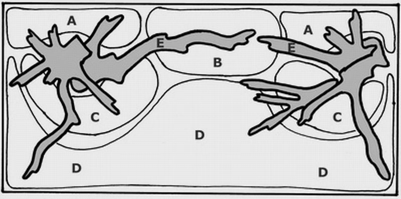 Unterwasser-Landschaft Moosbrücke Für 60 Liter Aquarium 2 Unterwasser-Landschaft Moosbrücke Für 60 Liter Aquarium – Bild 2