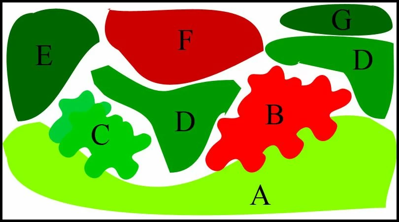 Unterwasser-Landschaft Lotuswelt Für Ein 400 Liter Aquarium 2 Unterwasser-Landschaft Lotuswelt Für Ein 400 Liter Aquarium – Bild 2