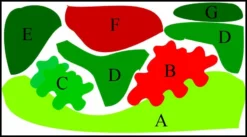 Unterwasser-Landschaft Lotuswelt Für Ein 200 Liter Aquarium 3 Unterwasser-Landschaft Lotuswelt Für Ein 200 Liter Aquarium -DENNERLE shop S2 060wf 1 2 5