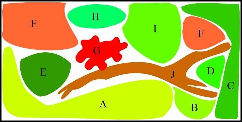 Unterwasser-Landschaft Diskus-Traum Für Ein 400 Liter Aquarium 1 Unterwasser-Landschaft Diskus-Traum Für Ein 400 Liter Aquarium