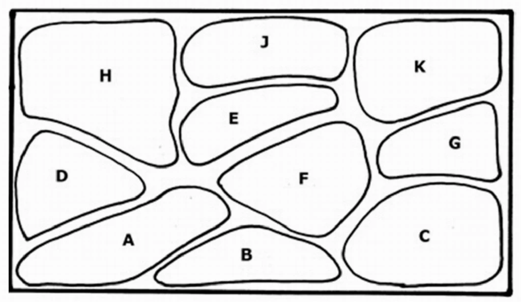 Unterwasser-Landschaft Holland-Aquarium Für Ein 200 Liter Aquarium 2 Unterwasser-Landschaft Holland-Aquarium Für Ein 200 Liter Aquarium – Bild 2