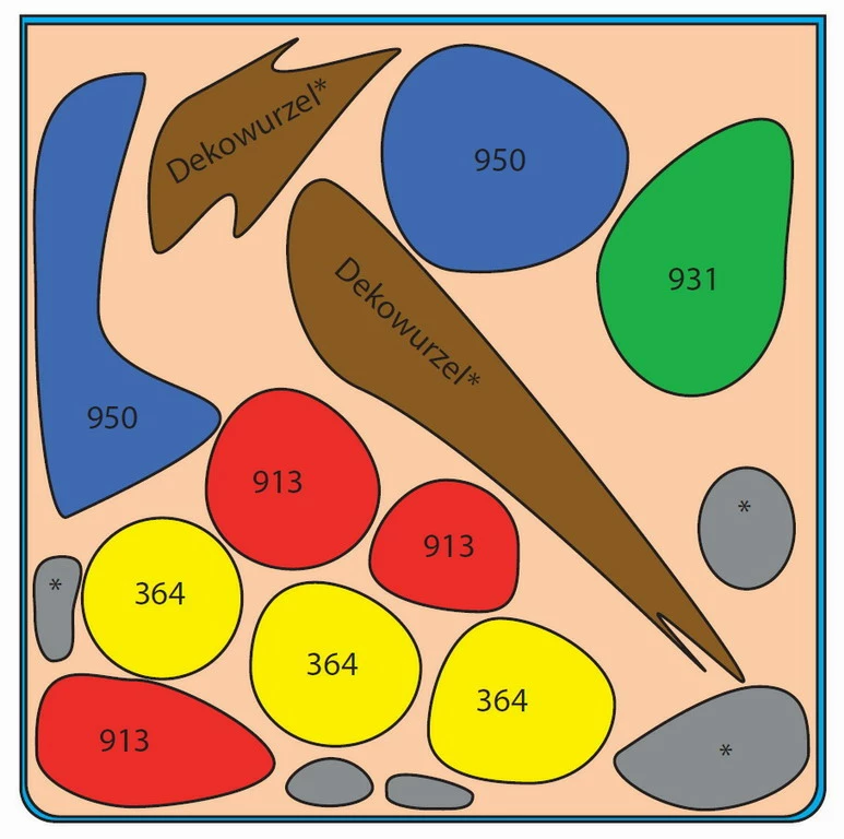 In-Vitro Ludwigia Cube 30 Liter - Pflanzenlandschaft Für Einen 30 Liter Nano Cube 2 In-Vitro Ludwigia Cube 30 Liter - Pflanzenlandschaft Für Einen 30 Liter Nano Cube – Bild 2