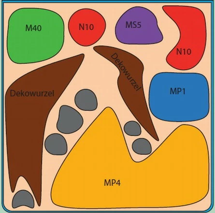 Riccardia Cube 30 Liter - Pflanzenlandschaft Für Einen 30 Liter Nano Cube 2 Riccardia Cube 30 Liter - Pflanzenlandschaft Für Einen 30 Liter Nano Cube – Bild 2