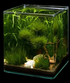 Biosphere Cube 30 Liter - Pflanzenlandschaft Für Einen 30 Liter Nano Cube -DENNERLE shop S9149DE 1 2