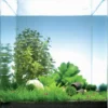 Pantanal Bay 10 Liter - Pflanzenlandschaft Für Einen 10 Liter Nano Cube