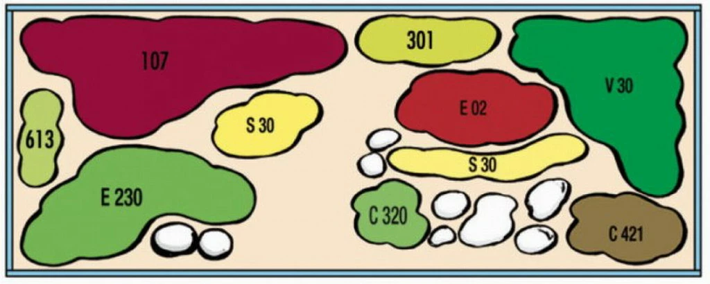 Kupfer Salmler - Pflanzenlandschaft Für Ein 160-200 Liter Aquarium 2 Kupfer Salmler - Pflanzenlandschaft Für Ein 160-200 Liter Aquarium – Bild 2